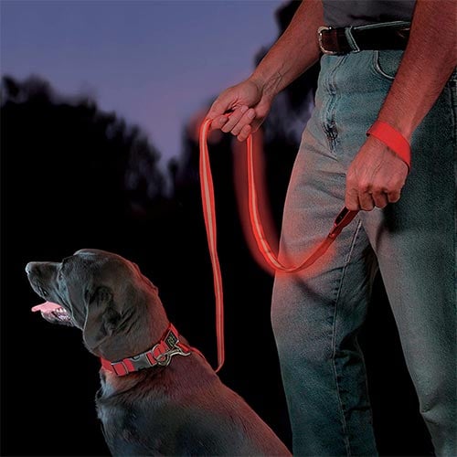 Nite Ize LED light up dog leash