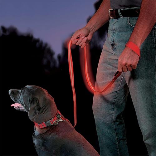 Choosing a Safe & Durable Dog Leash