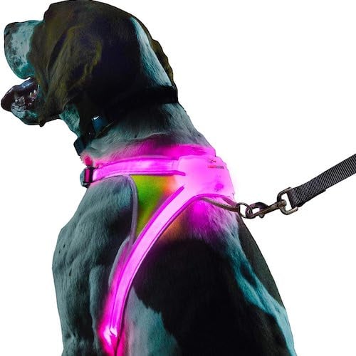noxgear light up dog harness