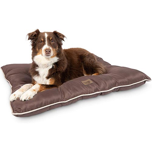 pet craft supply super snoozer indoor outdoor dog bed