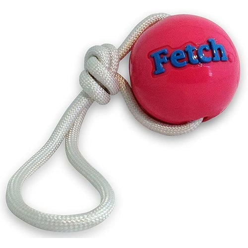 planet dog orbee tuff fetch ball on rope