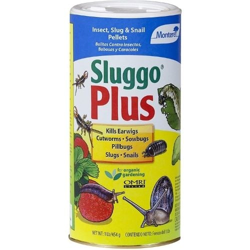 sluggo plus pet safe snail and slug bait