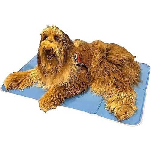 the green pet shop dog cooling mat