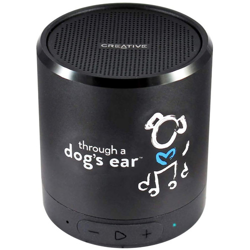 through a dogs ear calming solution for anxiety