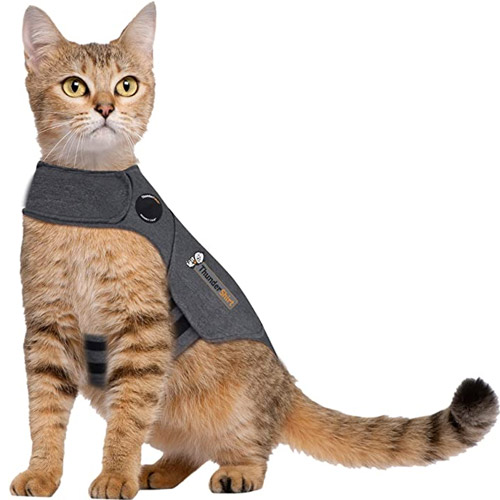 thundershirt cat anxiety calming jacket