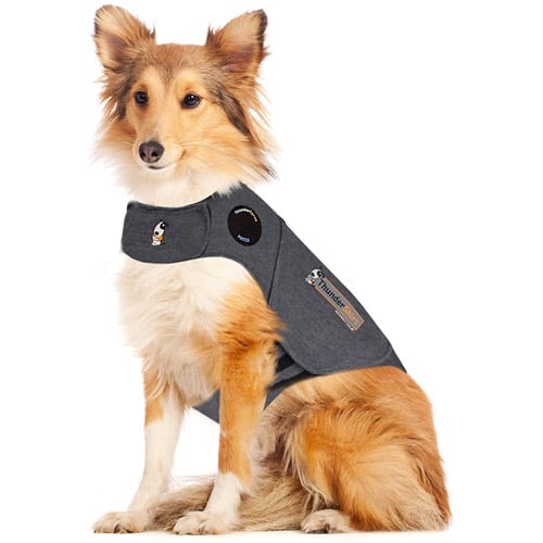 thundershirt dog anxiety jacket