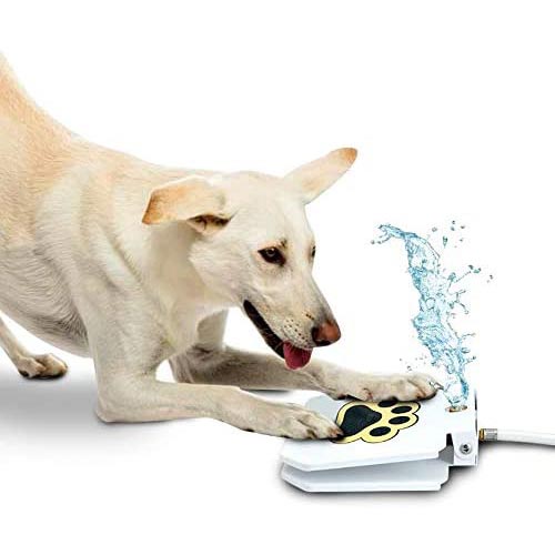 trio gato dog activated water sprinkler