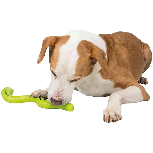 Trixie snack snake feeder toy for dogs