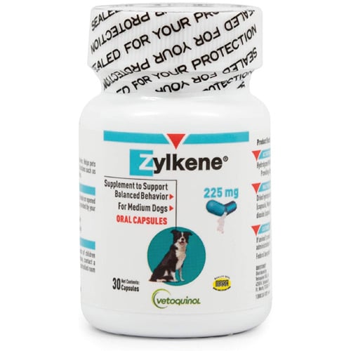 zylkene calming supplement for dogs