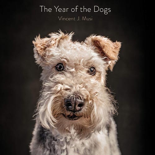 the year of the dogs photo book