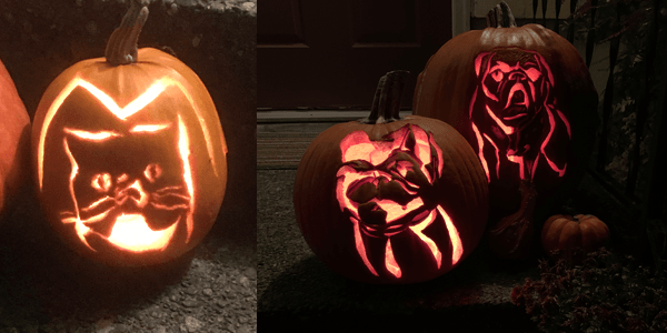 dog and cat Halloween pumpkins