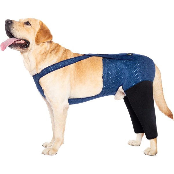 Dog Recovery Sleeves for Both Back Legs