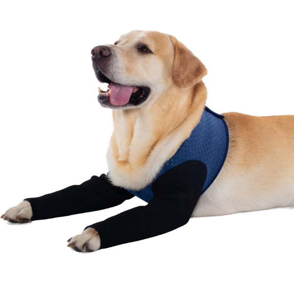 Dog Recovery Sleeves for Both Front Legs