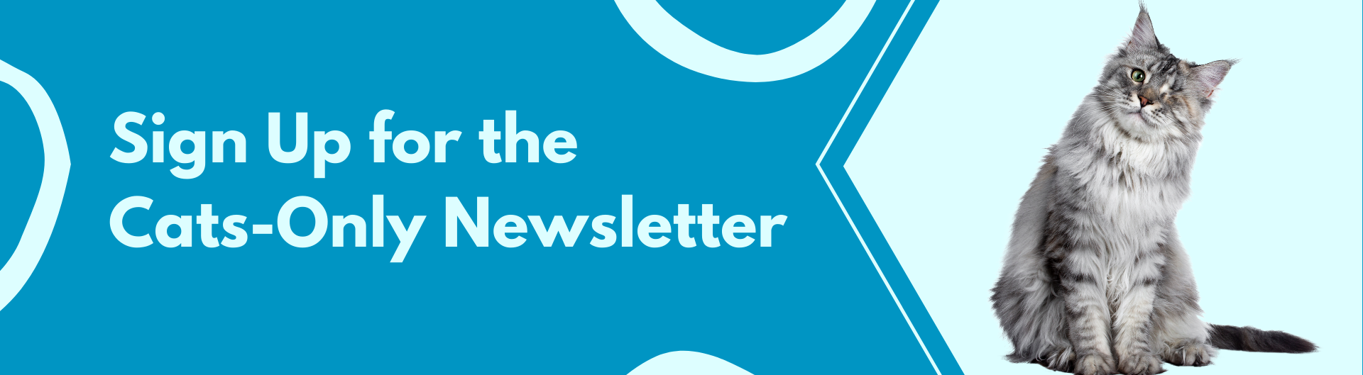 sign up for the cats only veterinary newsletter