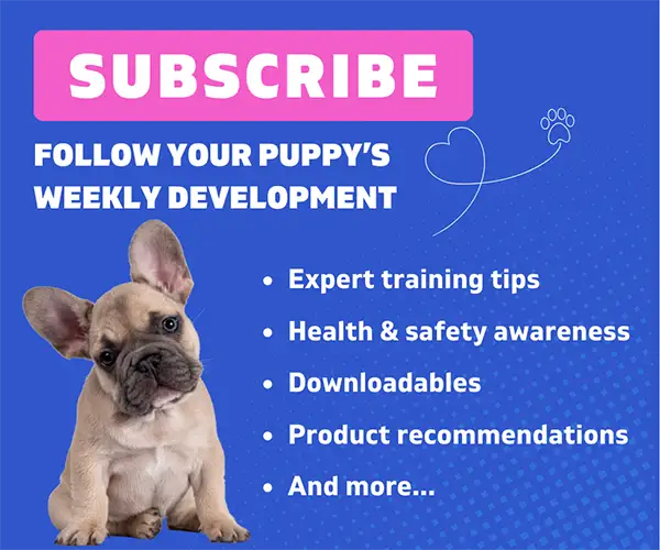 subscribe and follow your puppy's development