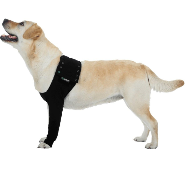 Recovery Sleeve for Dogs