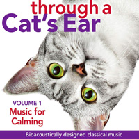 through a cats ear calming music