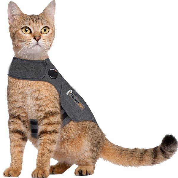 thundershirt for cats