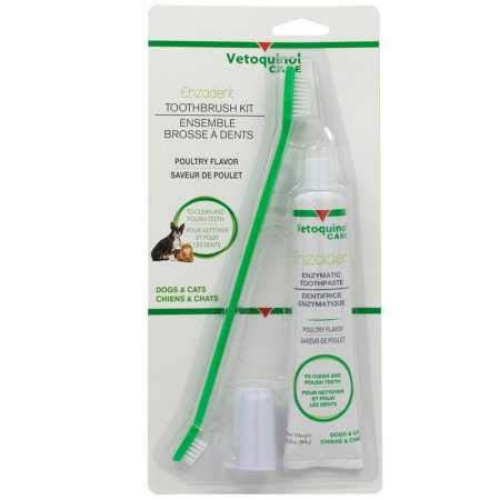 toothpaste kit and brush for pets