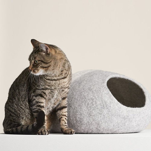 Cat Enrichment What To Do If Your Cat Is Bored