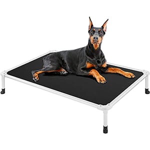 dog on veehoo chew proof elevated dog bed