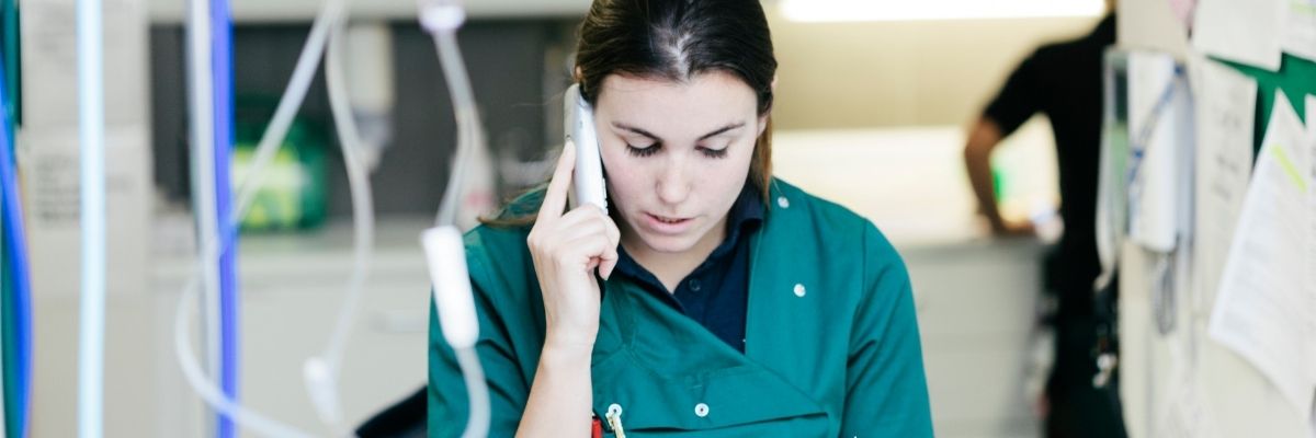veterinary professional on the phone-istk