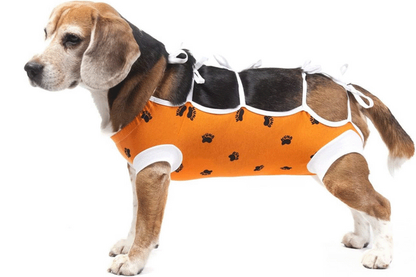 surgical suit for dogs and cats