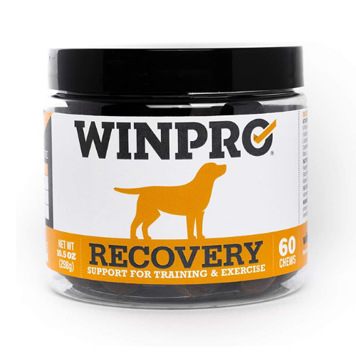 recovery dog treat for training
